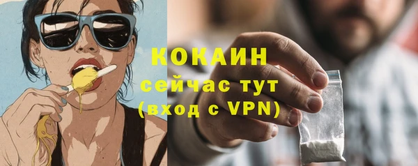 сатива Краснослободск