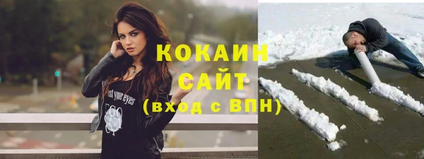 сатива Краснослободск