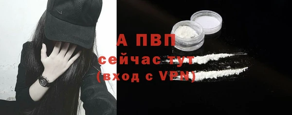 сатива Краснослободск