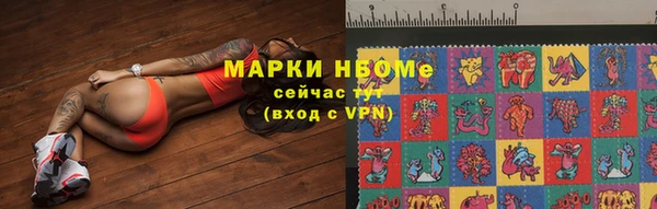 сатива Краснослободск