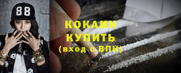 Альфа ПВП Кукмор