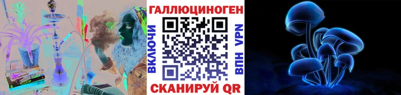 omg вход  Лаишево  Галлюциногенные грибы GOLDEN TEACHER 